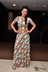 Nikki Galrani at Krishnastami Movie Success Meet